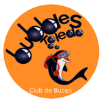 Logo Bubbles Toledo